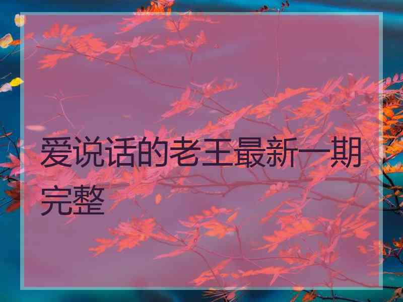 爱说话的老王最新一期完整