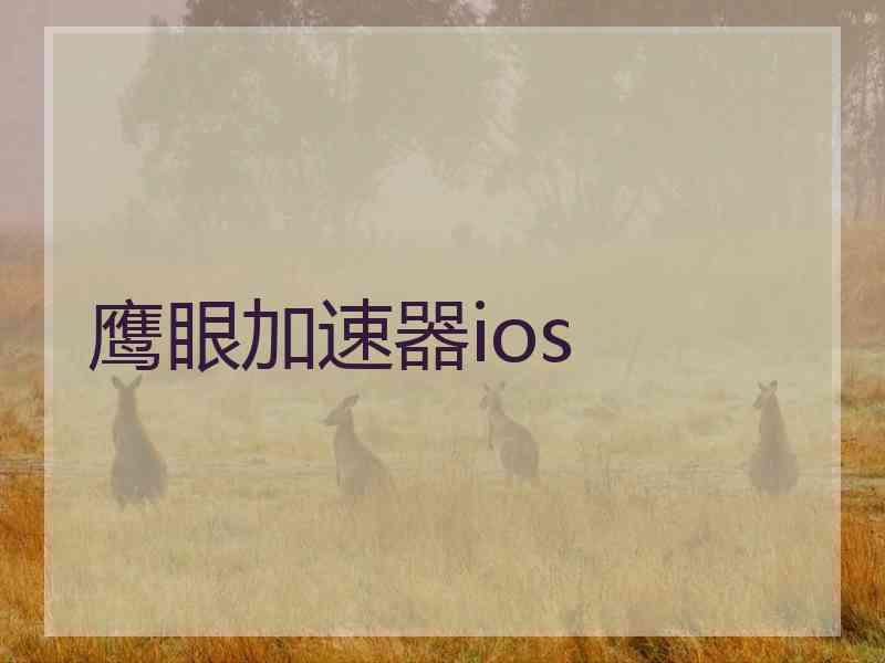 鹰眼加速器ios