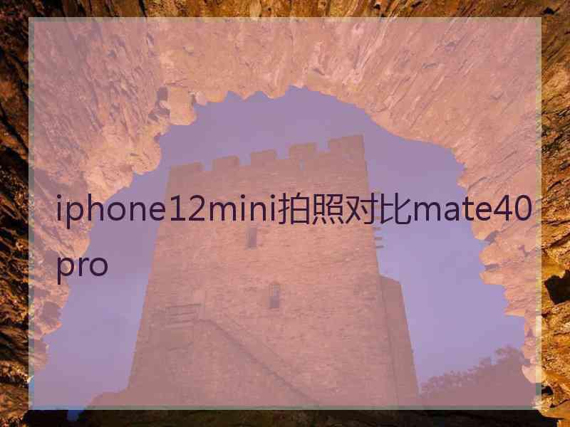 iphone12mini拍照对比mate40pro