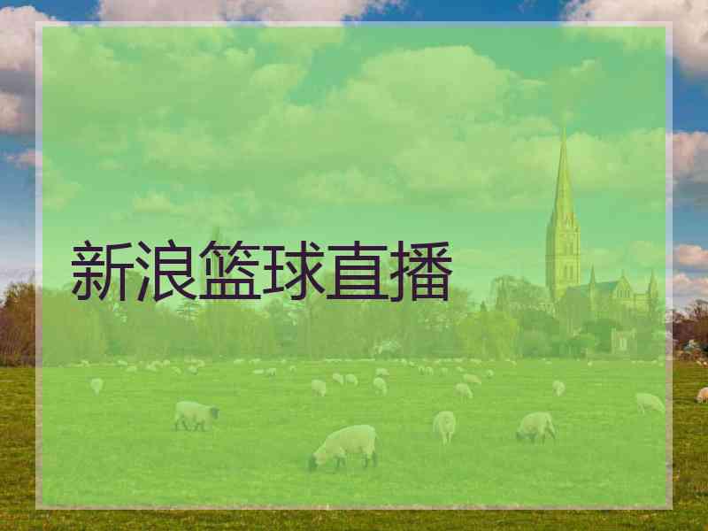 新浪篮球直播