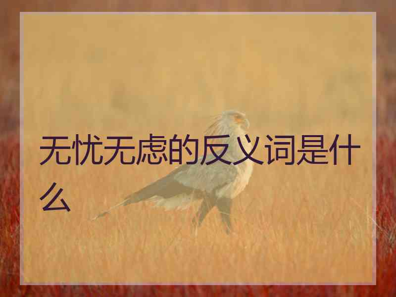 无忧无虑的反义词是什么