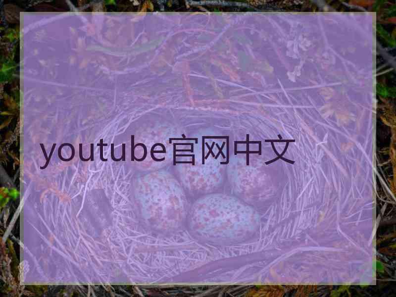 youtube官网中文