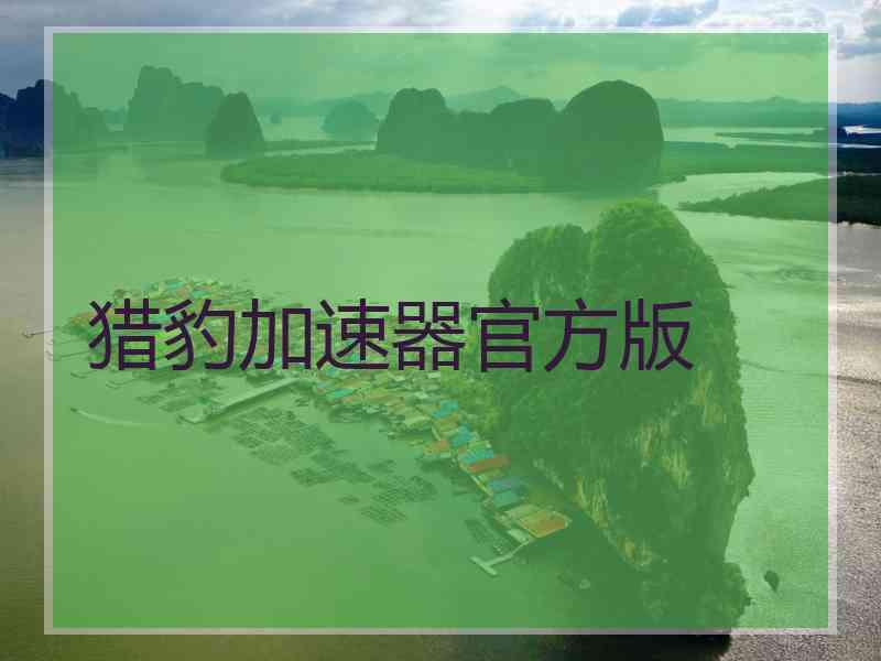 猎豹加速器官方版