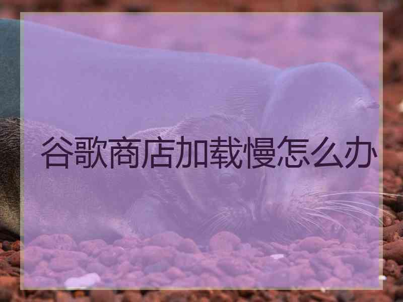 谷歌商店加载慢怎么办
