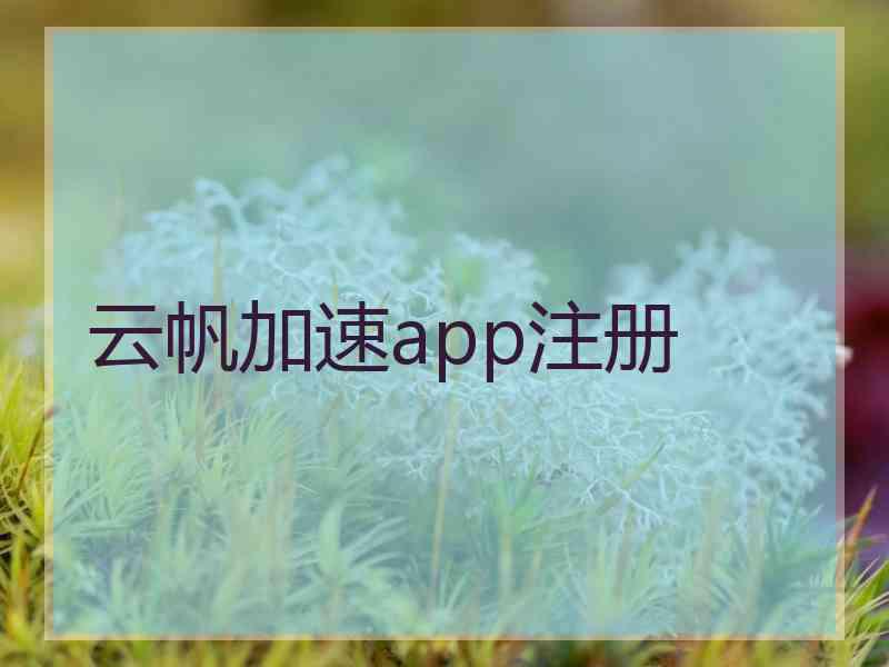 云帆加速app注册