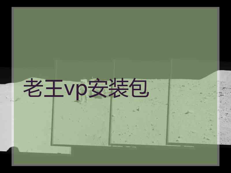 老王vp安装包