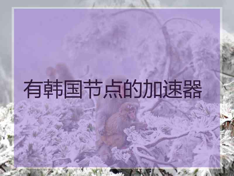有韩国节点的加速器