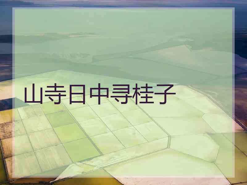 山寺日中寻桂子