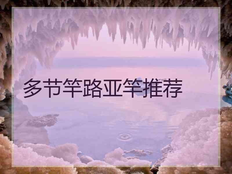 多节竿路亚竿推荐