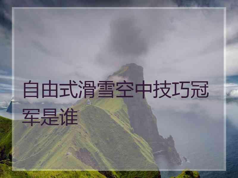 自由式滑雪空中技巧冠军是谁