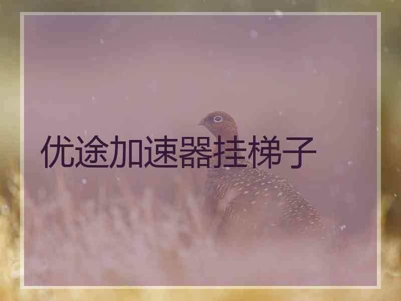 优途加速器挂梯子