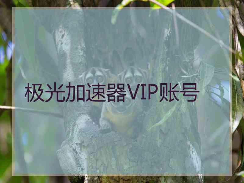 极光加速器VIP账号