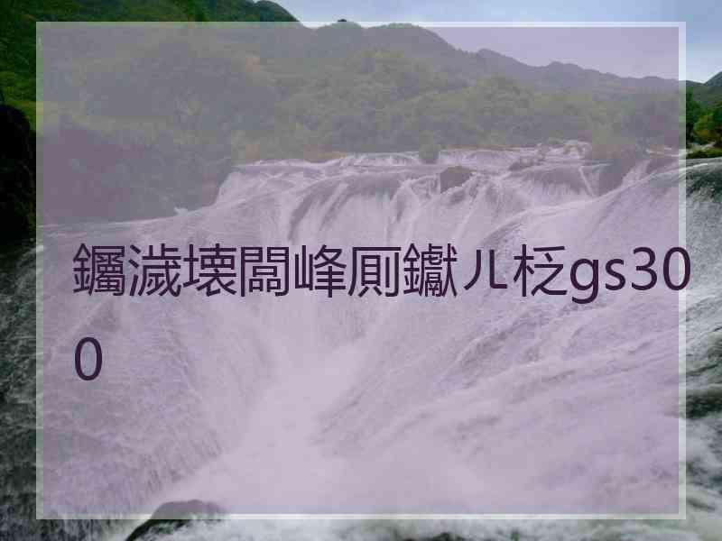 钃濊壊闆峰厠钀ㄦ柉gs300