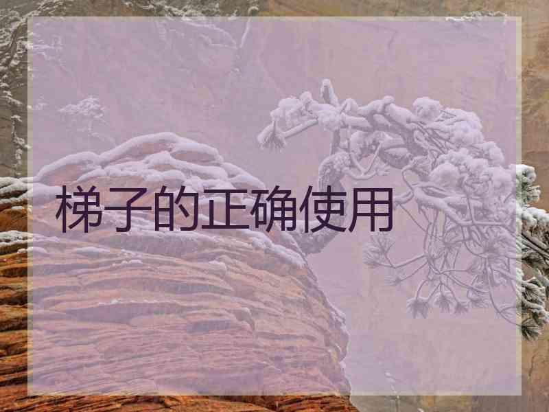 梯子的正确使用