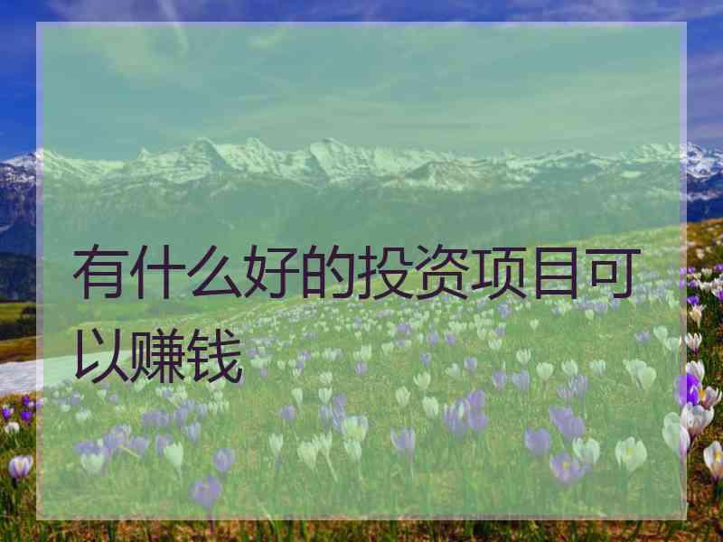 有什么好的投资项目可以赚钱