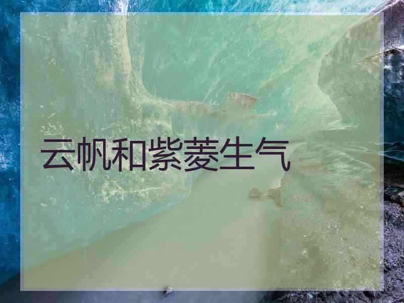 云帆和紫菱生气