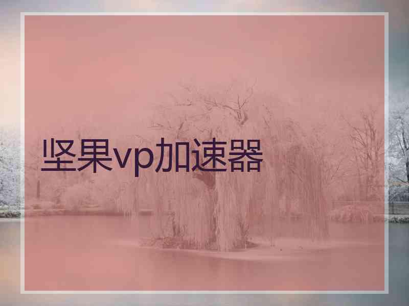 坚果vp加速器