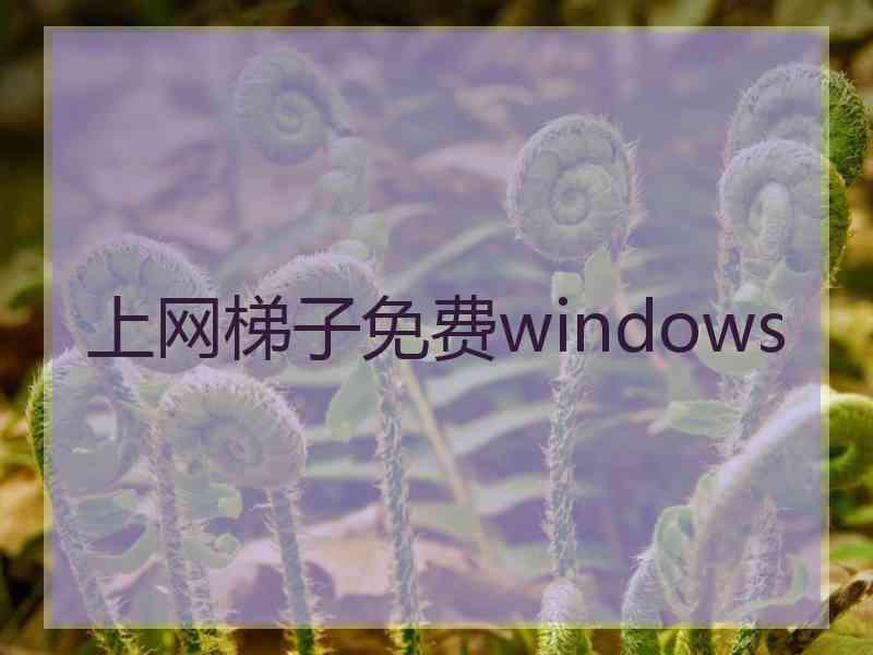 上网梯子免费windows