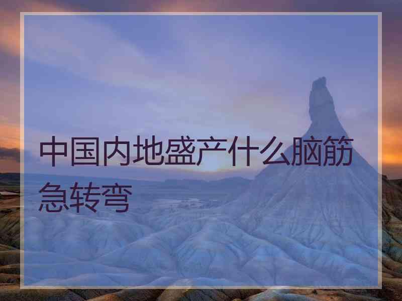 中国内地盛产什么脑筋急转弯