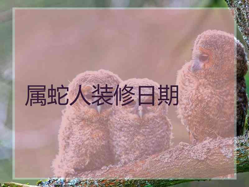 属蛇人装修日期