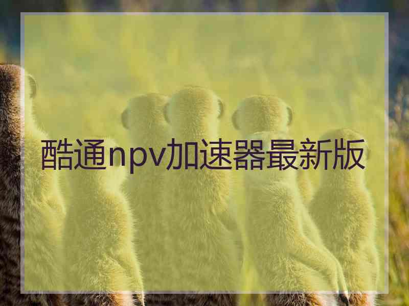 酷通npv加速器最新版