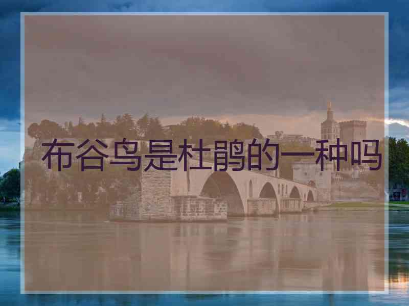 布谷鸟是杜鹃的一种吗