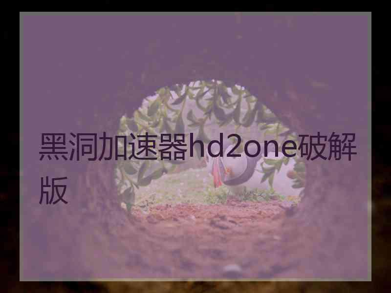 黑洞加速器hd2one破解版