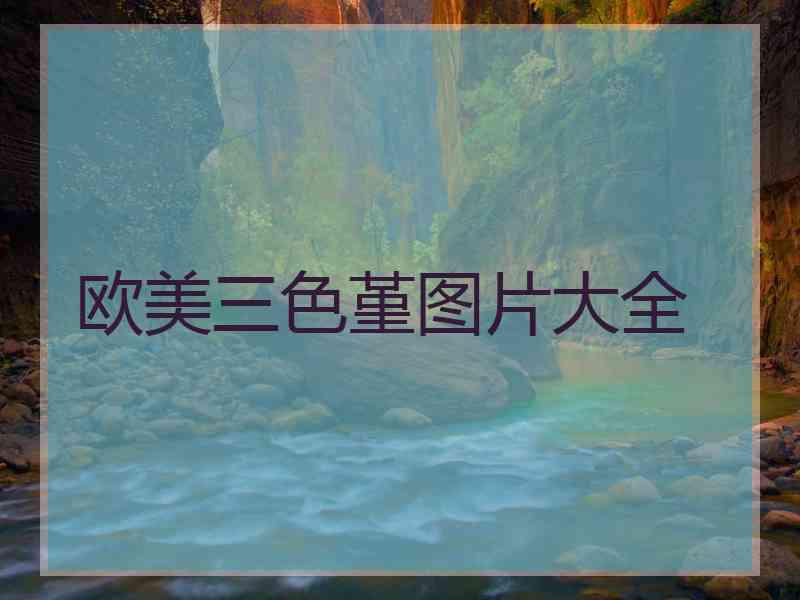 欧美三色堇图片大全