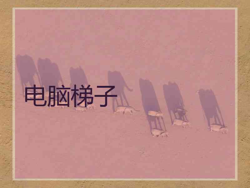 电脑梯子