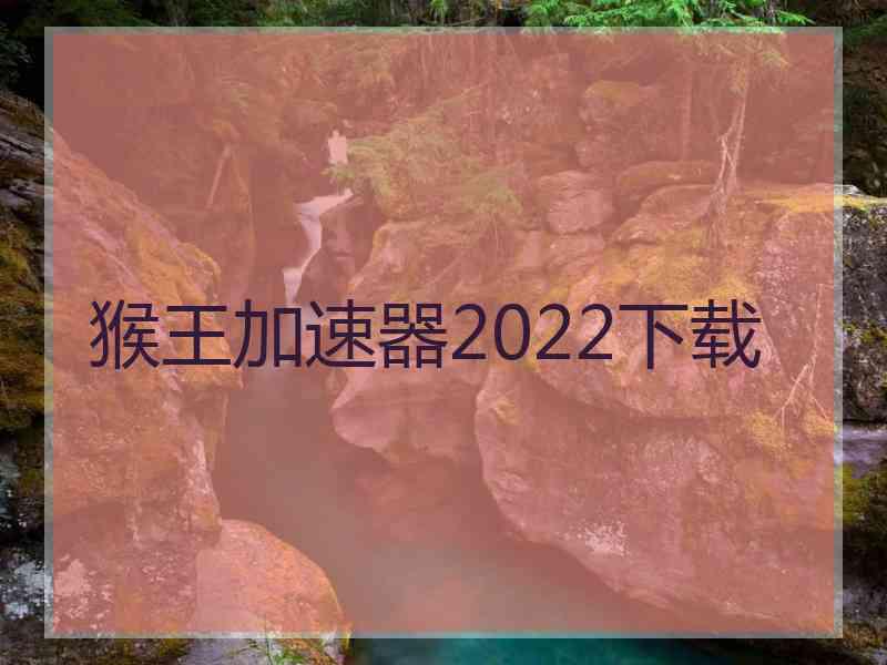 猴王加速器2022下载