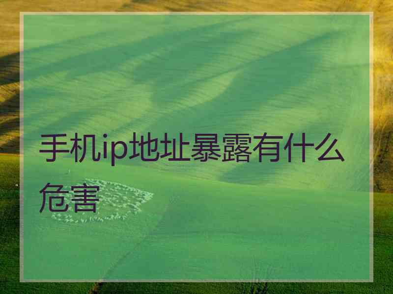 手机ip地址暴露有什么危害