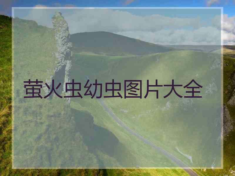萤火虫幼虫图片大全