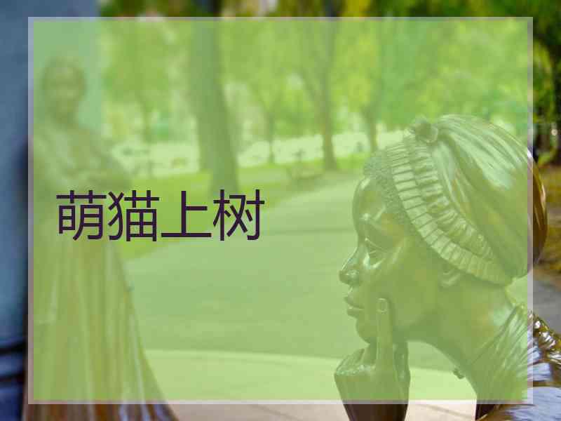 萌猫上树
