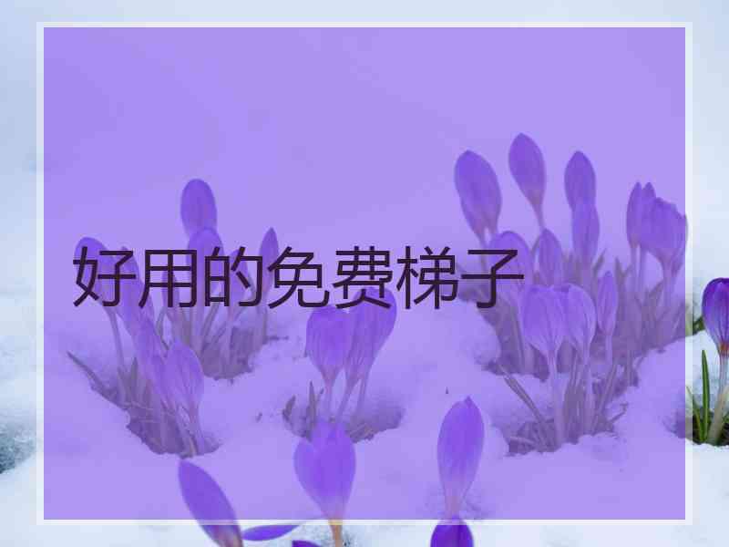 好用的免费梯子