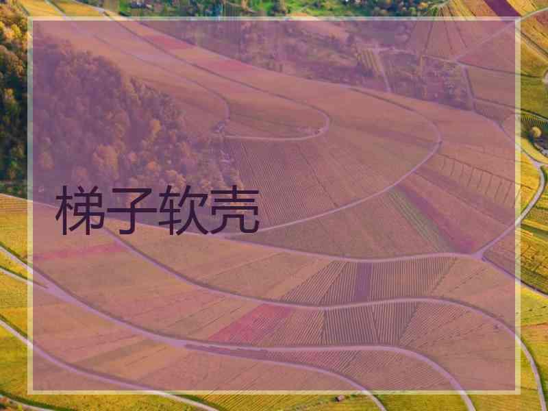 梯子软壳