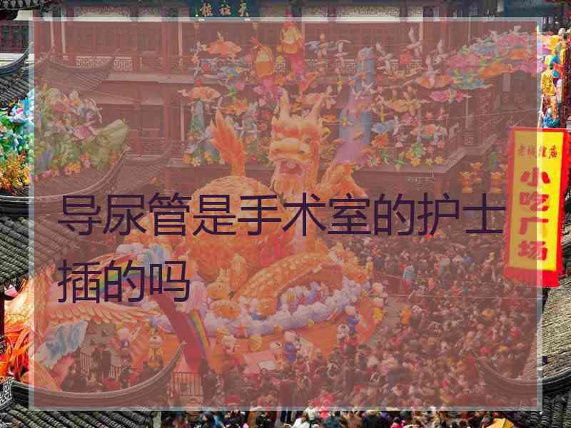 导尿管是手术室的护士插的吗