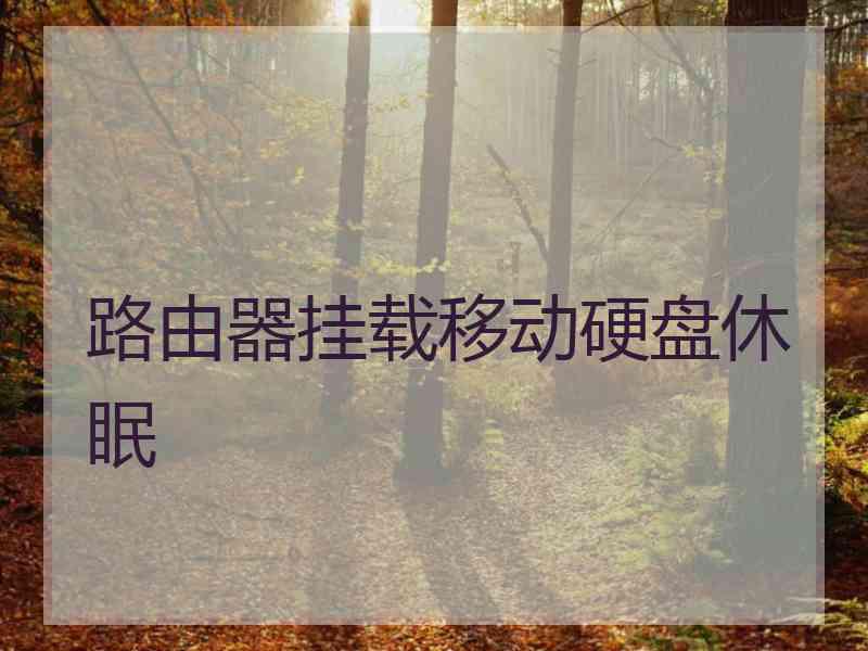 路由器挂载移动硬盘休眠