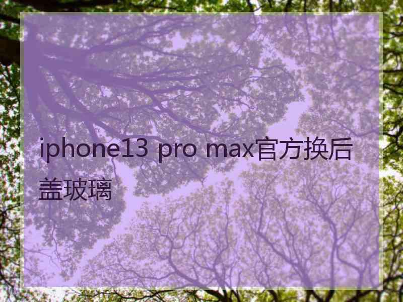 iphone13 pro max官方换后盖玻璃