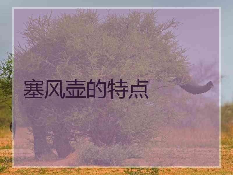 塞风壶的特点