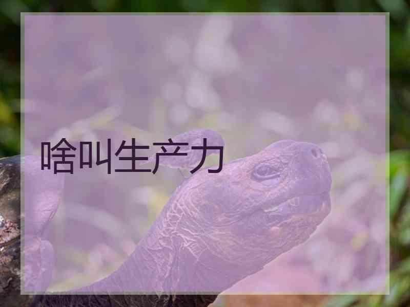 啥叫生产力