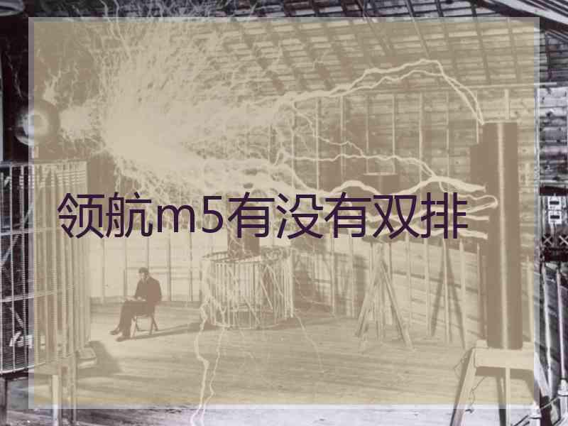 领航m5有没有双排