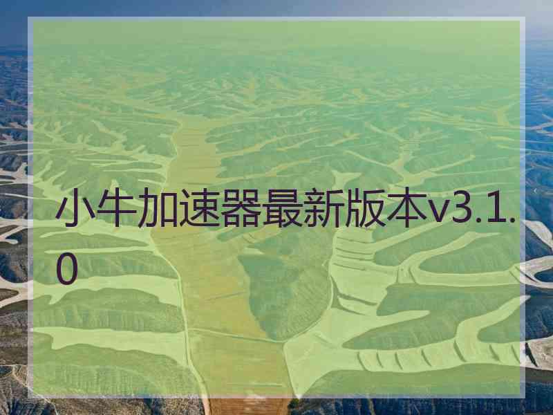 小牛加速器最新版本v3.1.0