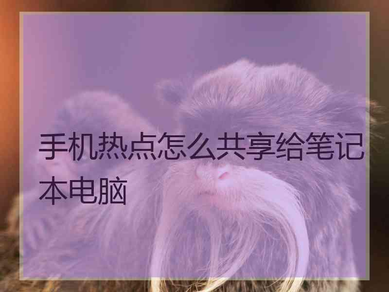 手机热点怎么共享给笔记本电脑