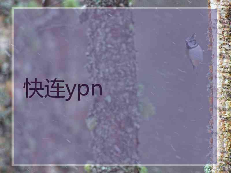 快连ypn