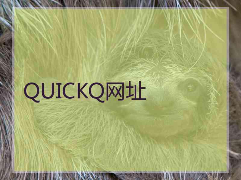 QUICKQ网址