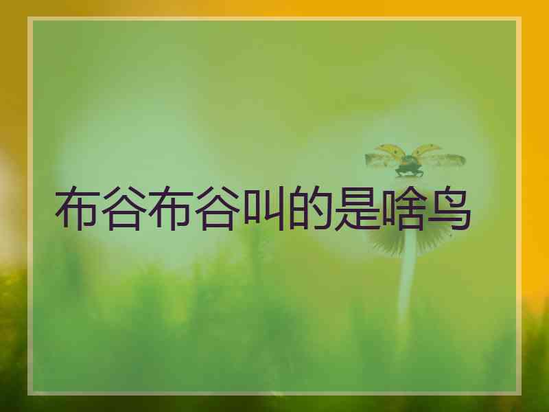 布谷布谷叫的是啥鸟