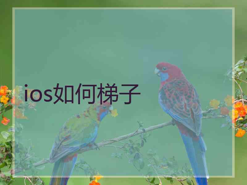 ios如何梯子