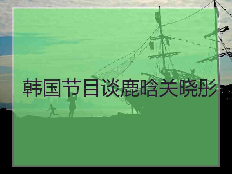 韩国节目谈鹿晗关晓彤