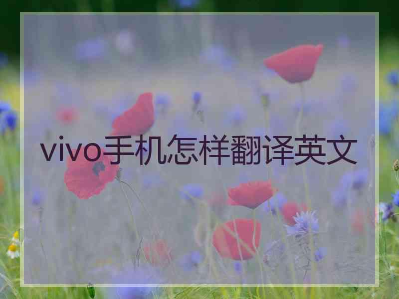 vivo手机怎样翻译英文