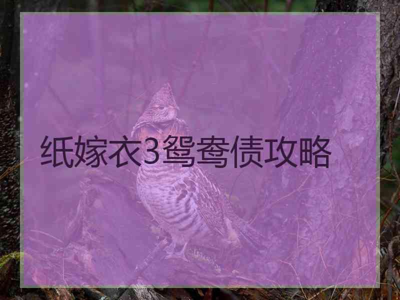 纸嫁衣3鸳鸯债攻略